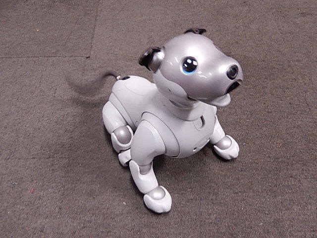 Sony aibo ERS-1000 完動品 剥がれれ aiboと楽しい時間が過ごせます。 